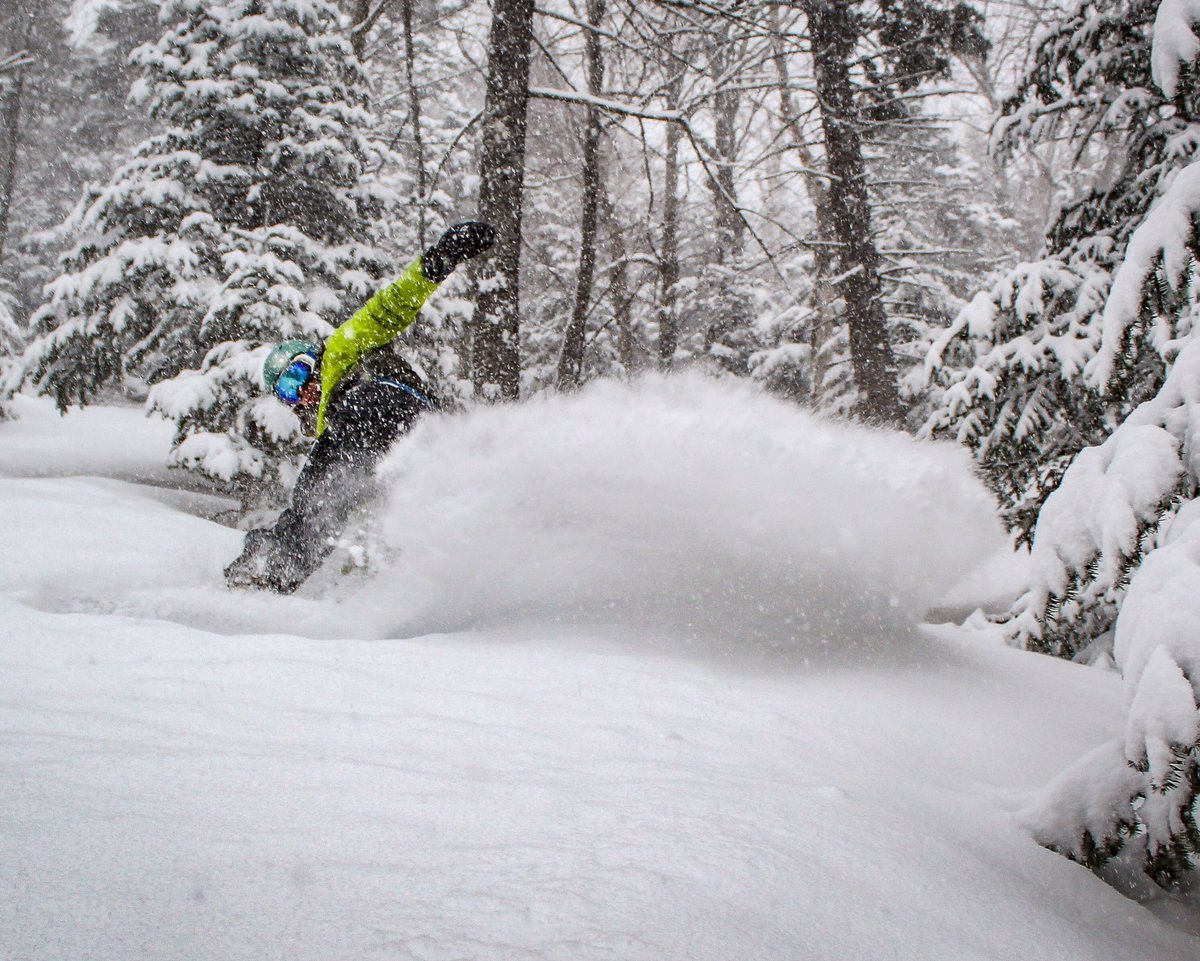 skiwildcat's tweet photo. We’re back, baby. https://t.co/2DqtE4gFQs