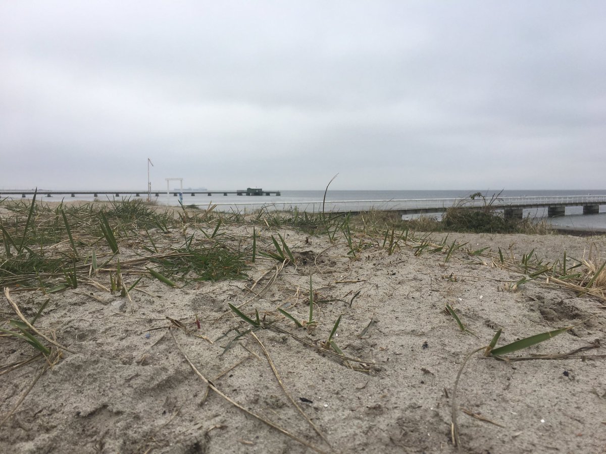 joannayarrow's tweet photo. At the end of a week stuffed with meeting room and laptop mayhem it’s time to bash it all out on the beach #fridayfeeling #parttimerunner https://t.co/KMuO3UmXOA