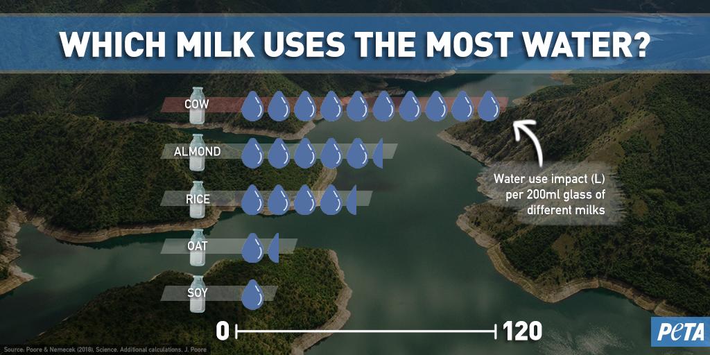 peta's tweet photo. Did you know cow's milk uses THIS much water? 😵 On #WorldWaterDay, try a vegan milk instead! 💧 https://t.co/ugSnlE3L7r
