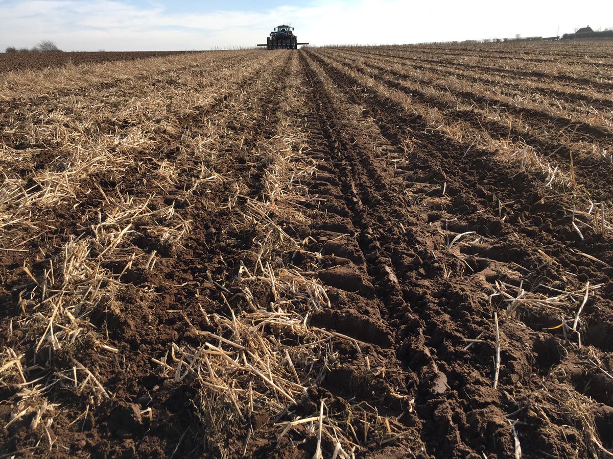 HorizonAgri's tweet image. More Stripcat demo images from this week - serious kit for serious work 💪💪💪
#Stripcat #StripTill #SoilProtection #DemoTrail #Arable #Farming
slyagri.com/stripcat-2/