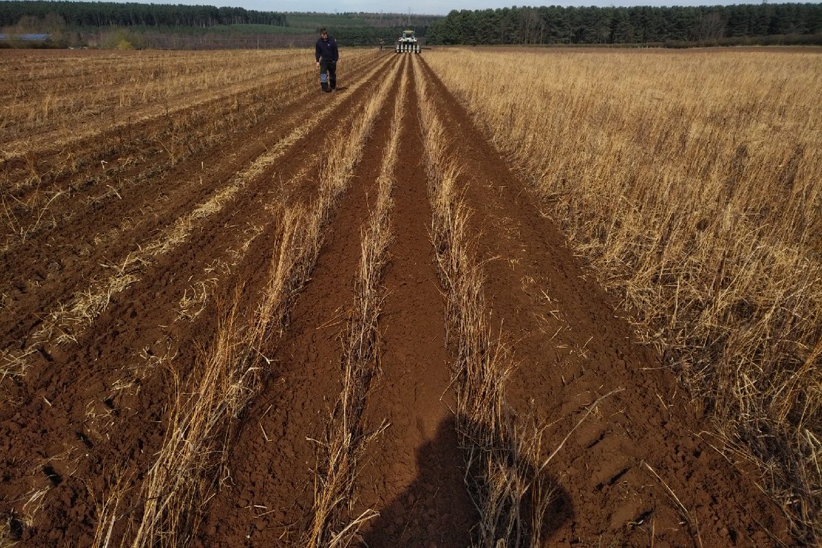 HorizonAgri's tweet image. More Stripcat demo images from this week - serious kit for serious work 💪💪💪
#Stripcat #StripTill #SoilProtection #DemoTrail #Arable #Farming
slyagri.com/stripcat-2/