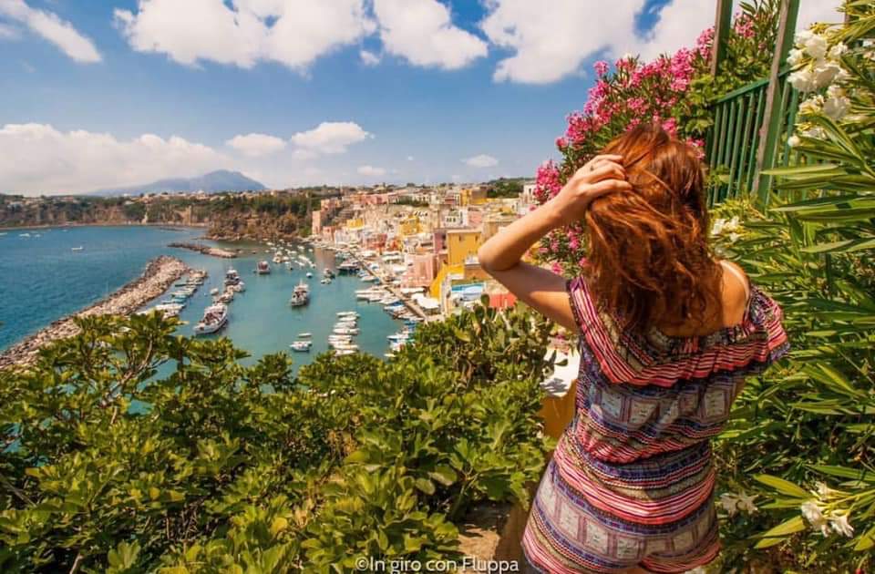 igersprocida's tweet photo. Le meraviglie in questa parte di universo
Foto di @in_giro_con_fluppa
Scelta da @mikbiondo
Info: igersprocida@gmail.com

Please tag your pix 
#procida #igersprocida #campaniache #vesuviocoast #igerscampania #paesagginapoletani #ig_procida #italia https://t.co/pOgsSMFLXo