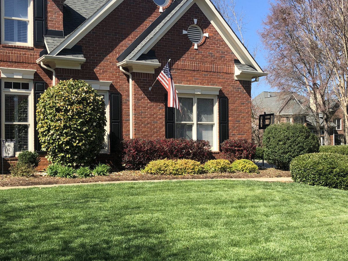 brokawlawn's tweet image. Shrub pruning and clear blue skies. Part of another busy week. #brokawlawn #shrubpruning #Stihl #charlotte #charlottenc #ballantyne #Spring2019