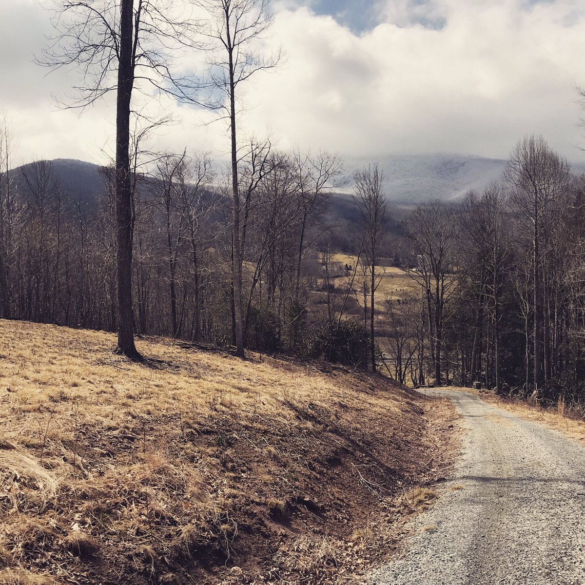 Springtime view from Dongola Cabin of Whitetop Mountain. #dongolacabin #uponthelaurel #airbnb #appalachia #usinterior #appalachiantrail #whitetopmountain #spring #springtime #driveway #clouds #sky #konnarock #jeffersonnationalforest