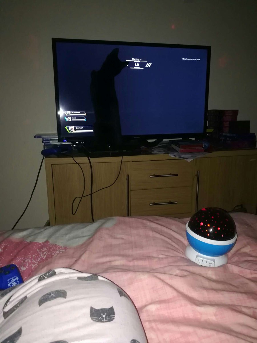 EClowder's tweet photo. Let me play too 😾😾
#CatsOfTwitter #cats #catsofinstagram #catstagram #cutecats #catslovers #Caturday #blackcat #AdoptDontShop #kittens #panfur #PanfurSquad #gaming https://t.co/C9Q8MQ5ff8
