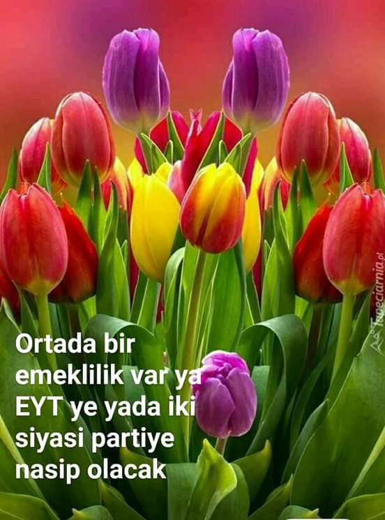 Yaşar İpek eyt (@yaarpek7) on Twitter photo 