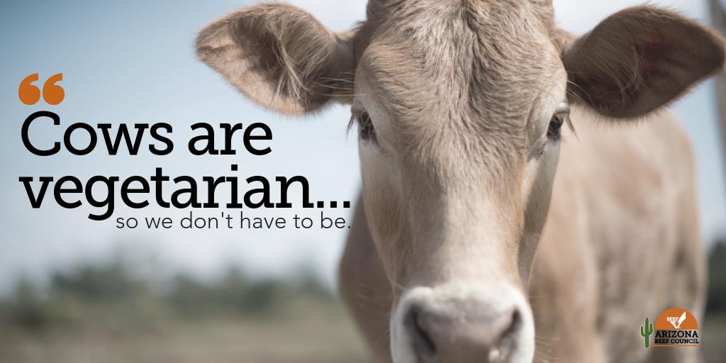ArizonaBeef's tweet photo. Cattle convert cellulose, the most abundant source of energy on our plant (humans also happen to lack the enzyme to break it down) into high quality protein our bodies can use! #Thankacow #CattleRock #Superheros #Beef #Protein #vegetarian #Beef #AZBeef #CattleTales https://t.co/SS0hFfF5QG