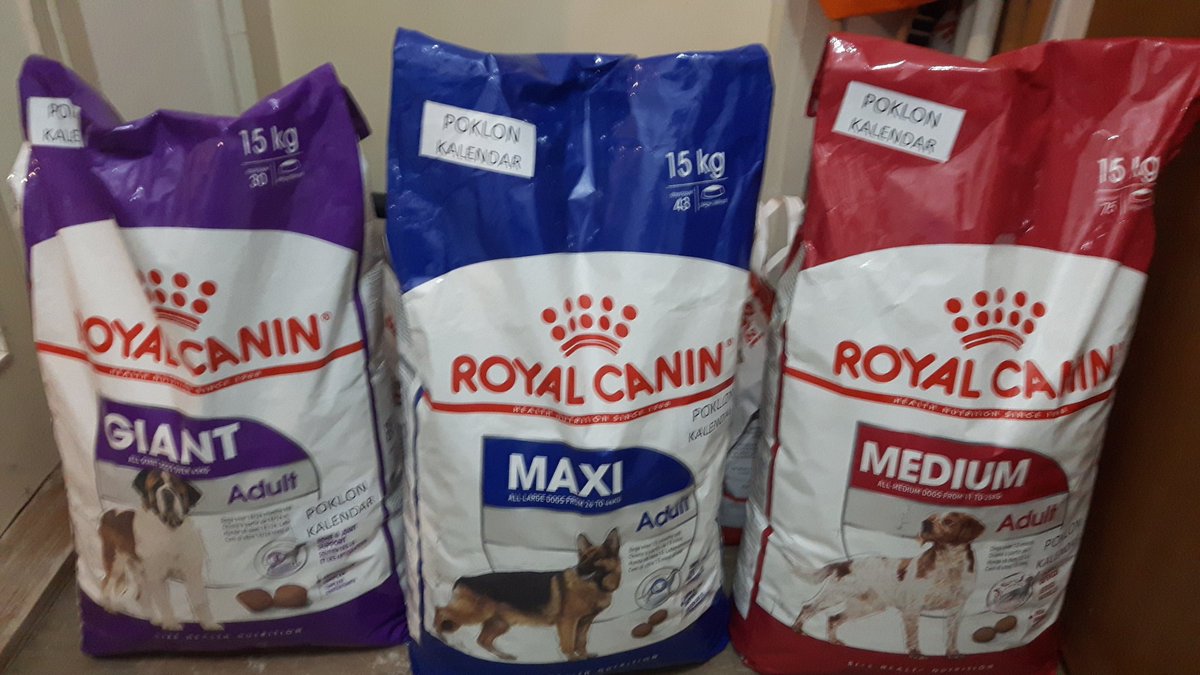 RoyalPetRescueS's tweet photo. @LordGraydon @3coolkatz @jobrown1812 @mhmelbourne @AngusMcPussPuss @3JazzCats @AngelaStillwell @SkittlesFriends @smartieplum @timhoyt14 #RCRSupdate 🔴🐾🔵🐾⚪

All dogs and cats having a blast and currently snoozing and snoring after heaving yummielicious meal of #DryFood #DogFood &amp; #CatFood from the #SuperPremium #HihhQuality portfolio of #RoyalCanin: 

#GiantAdult  #MaxiAdult #MediumAdult &amp; #FT32.

🍗🐟🍖 https://t.co/8nsLtKefgZ