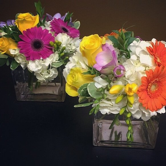 TheLilyPot_'s tweet image. A little thank you 🌻🌹🌷🌸🌿🌲🌺💐 #springdisplay #flowers #springcolours #prettyflorals instagram.com/p/BvU4NwKljLM/…