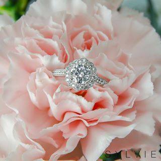 A diamond can say so much. Shop the Sylvie collection in our store! http://bit.ly/2u80vOb
#BurnellsFineJewelry #WichitaJewelers #Sylvie #DiamondEngagementRing https://ift.tt/1Bvvodk