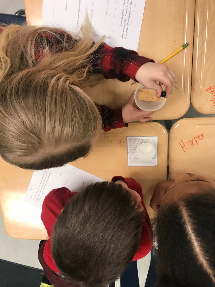 MissMott_5th's tweet photo. What do you call pressing on or dripping vinegar over sugar cubes? Physical and chemical weathering! Today we discovered how these types of weathering occur 😃 #2ndgrade #funscience https://t.co/h8kXLLoLIH