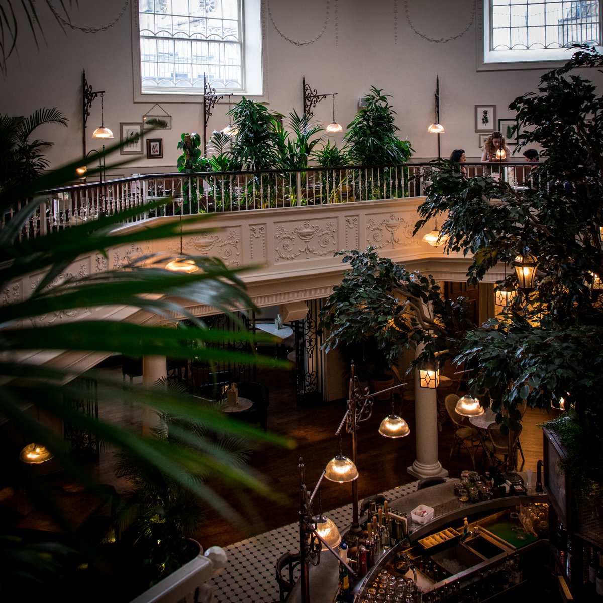 Last night saw the launch party of @thebotanistuk in Bath. Opening officially to the public on 25th March, I enjoyed a sneak peek yesterday morning to see what this breathtaking 8000 sq ft venue will have to offer Bathonians &amp; visitors to our city! 👀

A beautiful oasis awaits 🌱