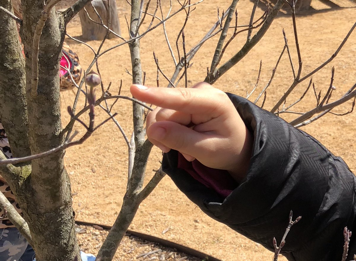 favalea10's tweet photo. Using our senses to find signs of spring. #springishere #5senses @LHESPrincipal @LHECMES https://t.co/2tMZGRHjeX