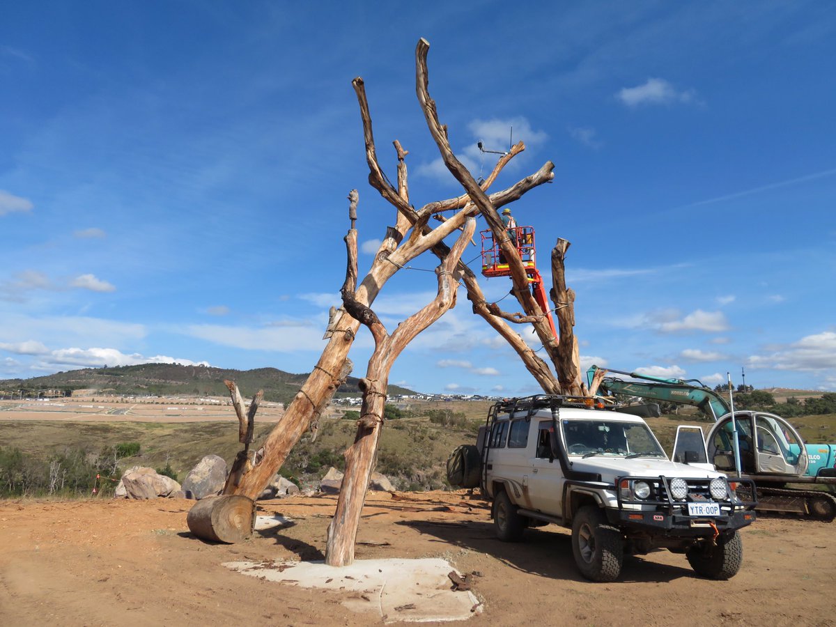 PrairieAnt's tweet photo. So excited to finally see “Life Support” under construction in Canberra! - a new vertical habitat structure that repurposes a felled Yellow Box Eucalyptus. Project developed with Mitchell Whitelaw @mtchl of @ANUartdesign and Darren LeRoux of #ACTParksandConservation https://t.co/mW0leCZkpN