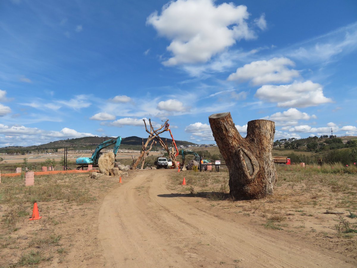 PrairieAnt's tweet photo. So excited to finally see “Life Support” under construction in Canberra! - a new vertical habitat structure that repurposes a felled Yellow Box Eucalyptus. Project developed with Mitchell Whitelaw @mtchl of @ANUartdesign and Darren LeRoux of #ACTParksandConservation https://t.co/mW0leCZkpN