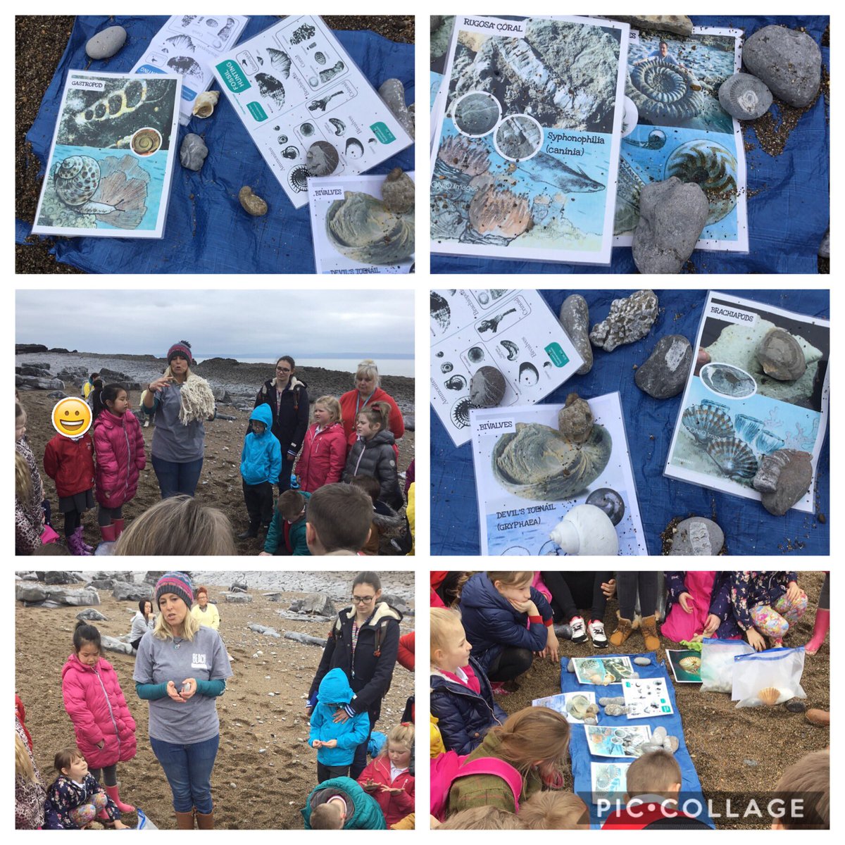 Miss Main & Miss Thomas tweet media