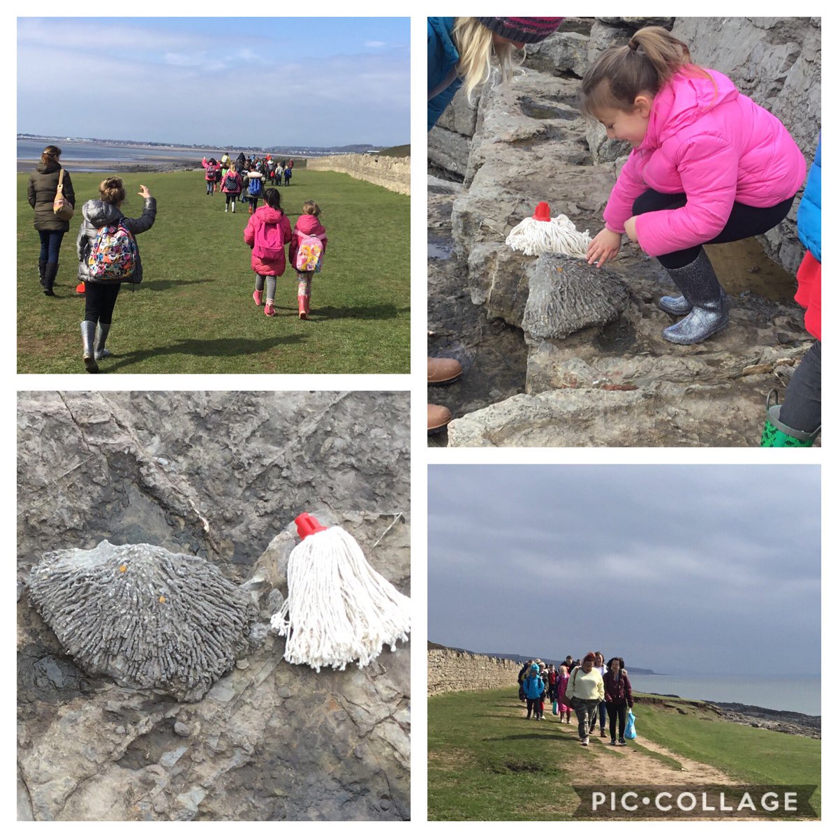 Miss Main & Miss Thomas tweet media