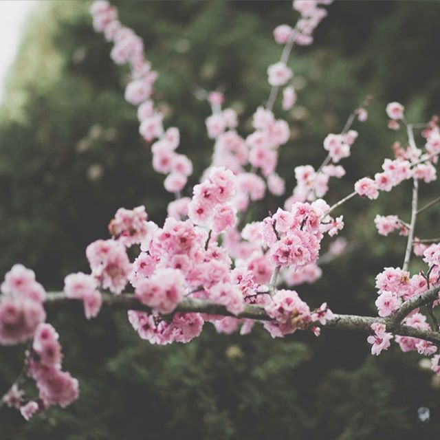 teampuzzlr's tweet photo. March 20th was the first day of Spring! (Still cold though!)
-
Happy Spring Blacksburg!
-
#blacksburg https://t.co/3h9qot7vdg https://t.co/r0TRiBW7Sm