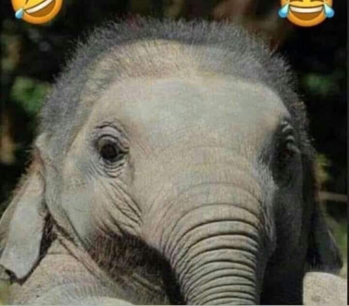 moathbalam's tweet photo. زارع  شعر في تركيا ومروح 😂😂 https://t.co/ZGy7E24ACY