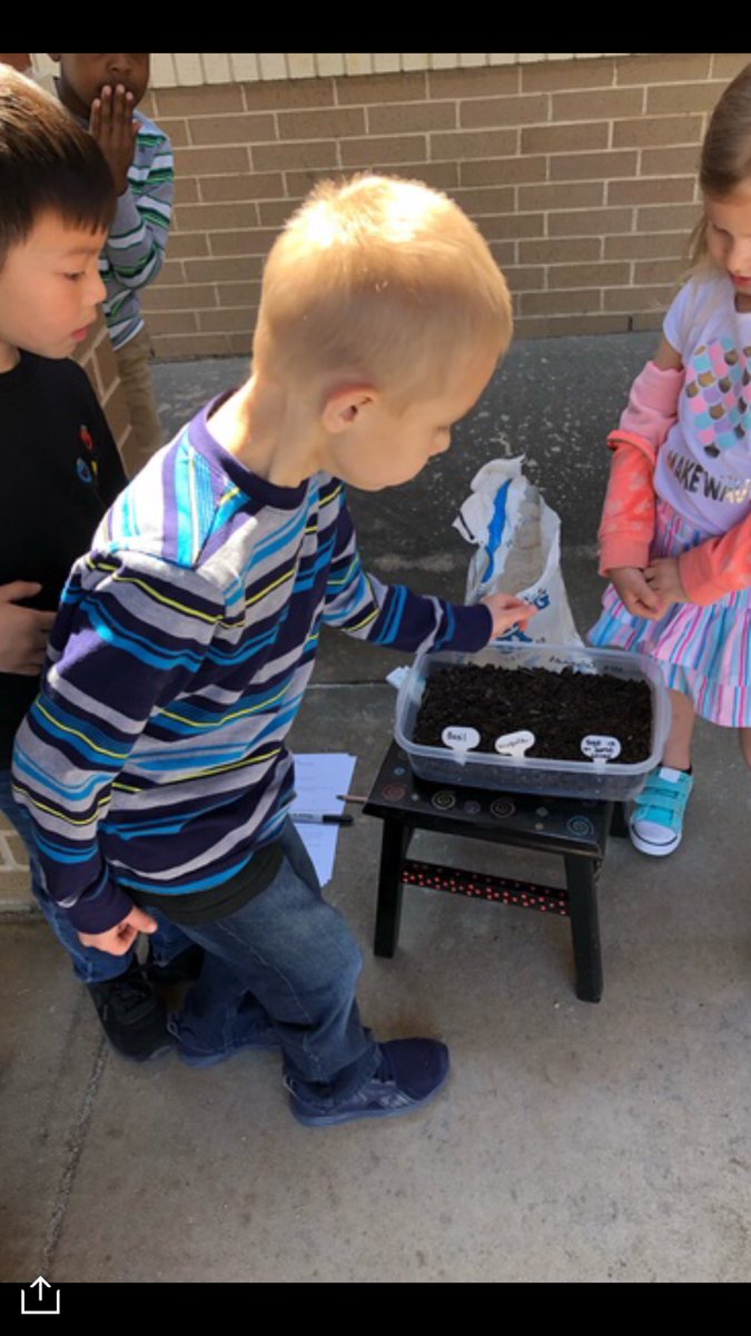 ColominaHeather's tweet photo. Busy McCall botanists observing the trees in spring and planting herbs! Kinder rocks! 💚⁦@SwintonMary⁩ https://t.co/7KL8bZFjVp