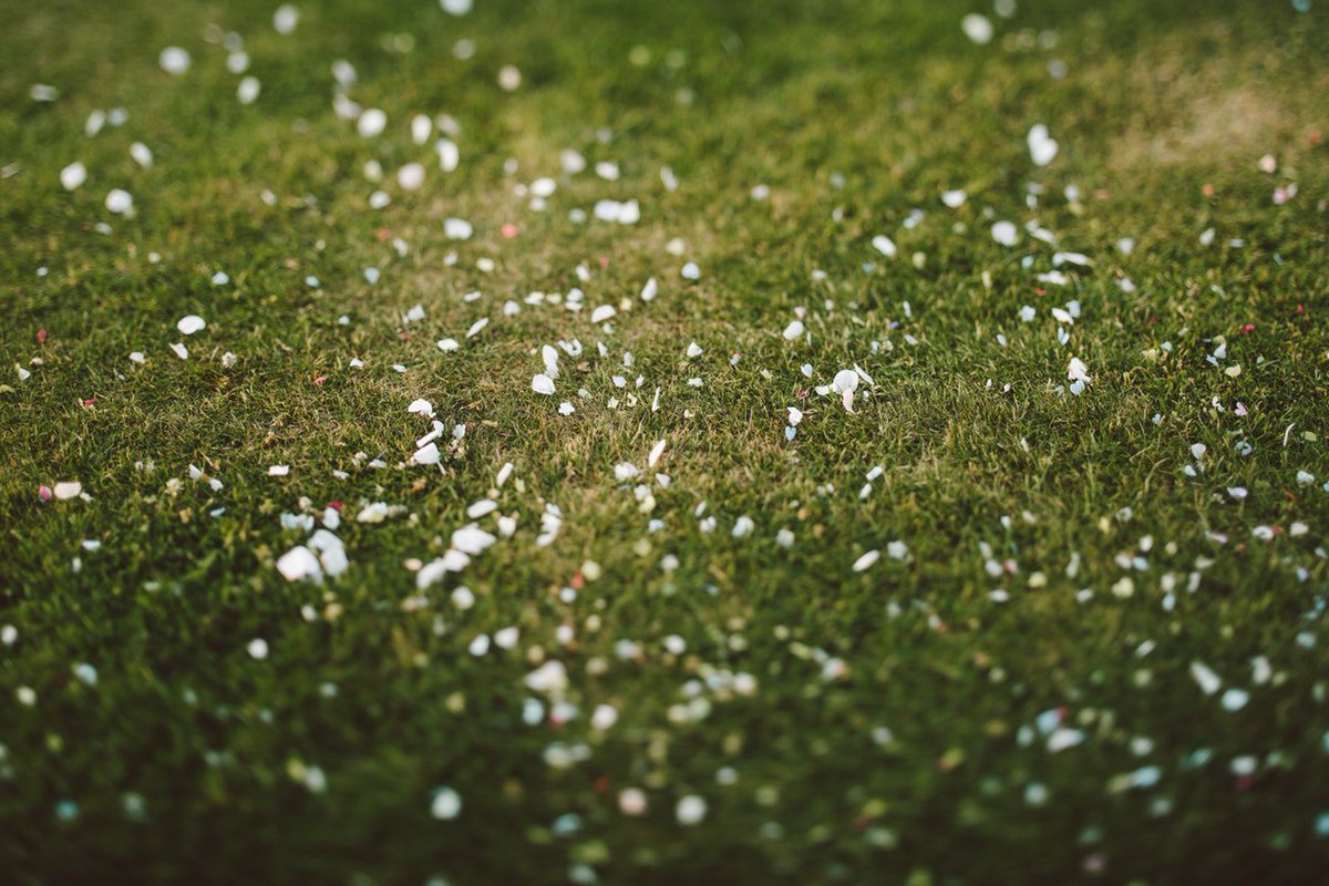 CascaronBash's tweet photo. #FunFact Cascarones was introduced to Mexico in 1860 by the Emperor Maximiliano’s wife, Carlotta. However, the perfumed powders were replaced with confetti. 

Support our efforts in #STEM education by sponsoring or purchasing tickets at https://t.co/D12O8OGnrB

#cascaronbash19 https://t.co/y5Yo0qzFNf