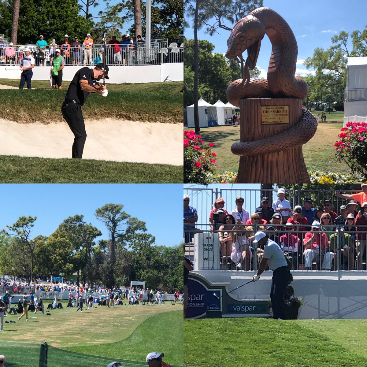 21kristee's tweet photo. @PGATOUR @DJohnsonPGA @JDayGolf https://t.co/q4BeX2LoSr