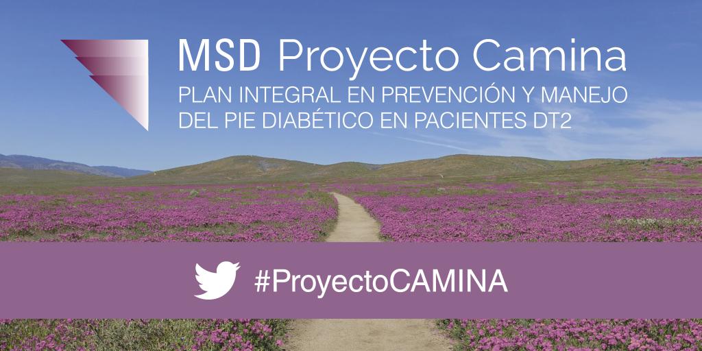 msd_es's tweet image. Gracias por la asistencia al taller de "Prevención, manejo y exploración del Pie Diabético" en la VII Jornada de SEMERGEN Diabetes. Acceda a los recursos disponibles del Proyecto CAMINA: bddy.me/2YgRWOM   #FocusonA1C #MovimientoDiabetes #ProyectoCAMINA #DMSEMERGEN19