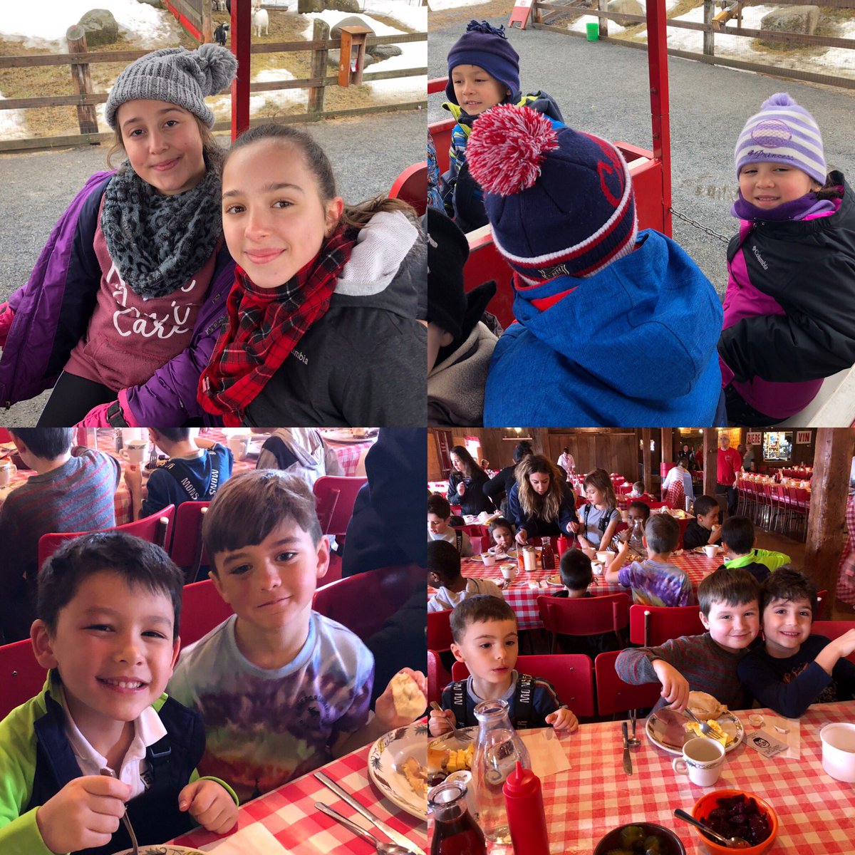 Cedarcrest_EMSB's tweet photo. Cedarcrest @EMSBBASE daycare having a blast at La Goudrelle today!! #emsbbase #cedarcrest #emsb #theplacetobe #studentlife https://t.co/WsLHFhA6p8