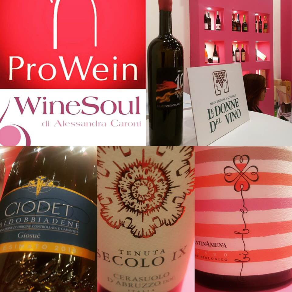 CantinAmena's tweet photo. Al @ProWein 2019 #CantinAmena insieme a #WineSoul. Grazie a chi ha reso possibile questa esperienza, grazie a chi ci hanno dedicato il loro tempo, grazie a chi ha degustato i nostri vini. #IGPLAZIO #winelover #Prowein #MadeInItaly https://t.co/BicxVDl8tl