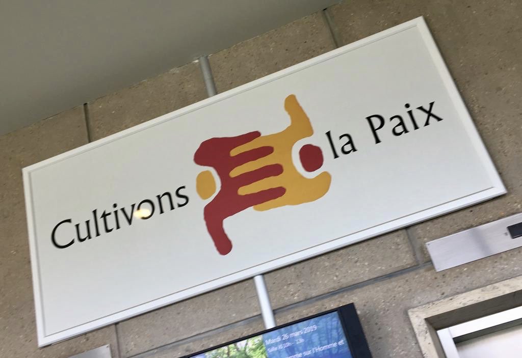 nohabazMD tweet media