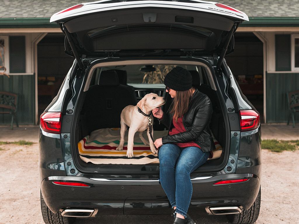 Buick's tweet photo. Where are you taking your little buddy for #NationalPuppyDay tomorrow? #ThatsABuick https://t.co/BSHzjLnelh