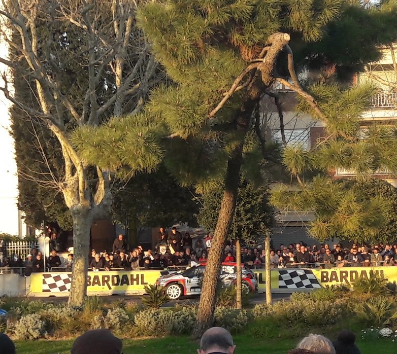 Ele_Fumagalli's tweet photo. @citroenitalia 
É partito il #CIR2019 con il #cioccorally: la #C3R5 di Luca Rossetti e Eleonora Mori alla PS1 a Forte dei Marmi. Andiamo ! https://t.co/FFXaOa6Mm8