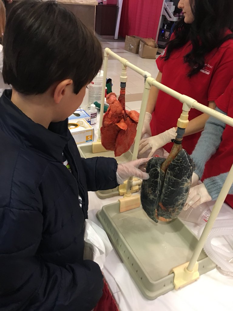 Ddisotto103's tweet photo. Journey through the body #jttb #sphp @WynantskillUFSD @WNYT https://t.co/KxtYcThM97