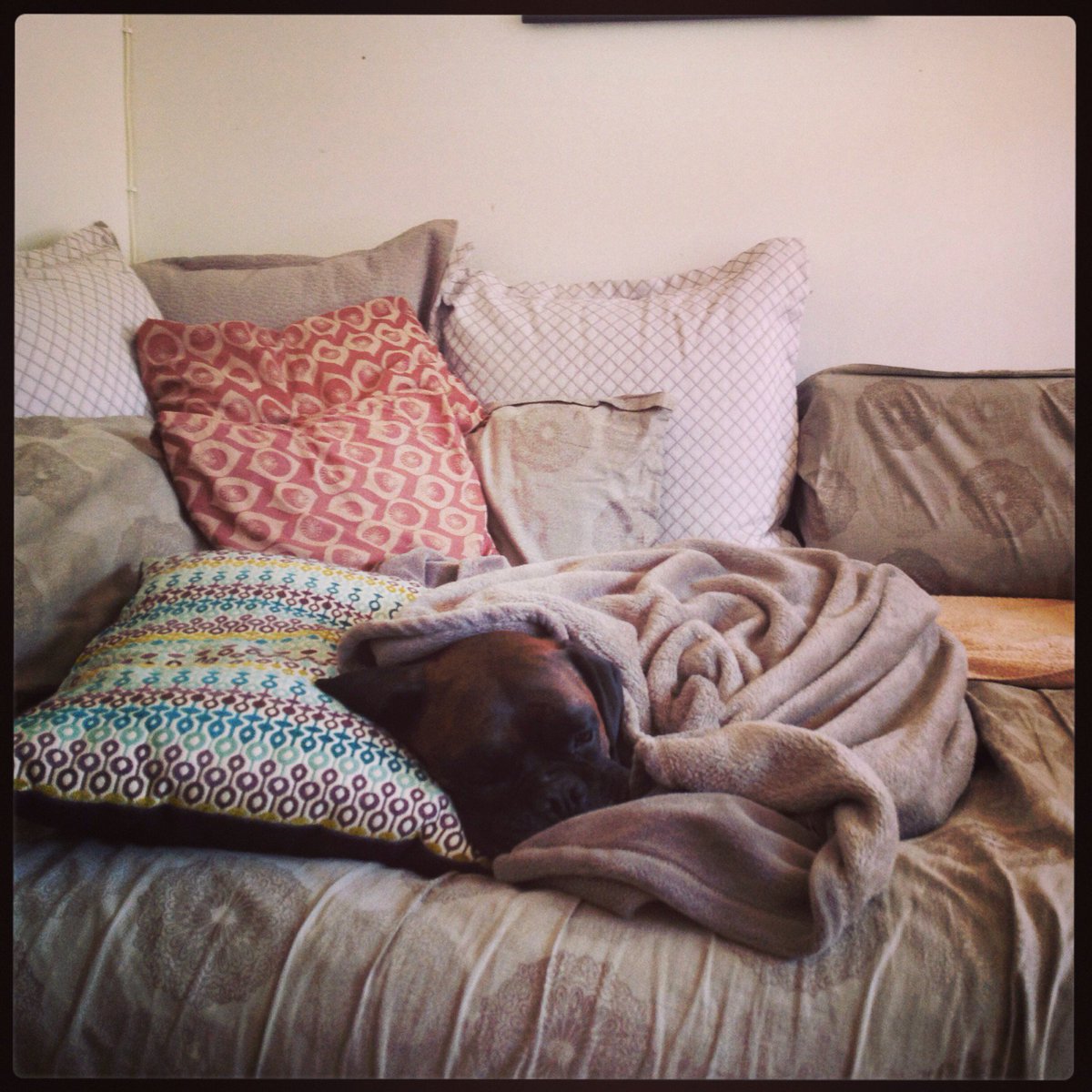 VibrantHygge's tweet photo. Caring for suffering animals and their humans is no joke. #compassionfatigue is one tough customer. Support @MspcaAngell employees- donate & give them a place to take a #jakebreak https://t.co/IT9UQzyvfM or https://t.co/Jkr3uuDUUF https://t.co/p9pbSnj11m
