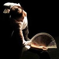 APaloSecoFlamen's tweet image. March (dates &amp;amp; times TBA): A Pelo Seco #Flamenco Company will be presenting a work-in-progress at the #WarnerLibrary in Tarrytown, NY. For more info, see our performance calendar, here… buff.ly/2VGTf7q
