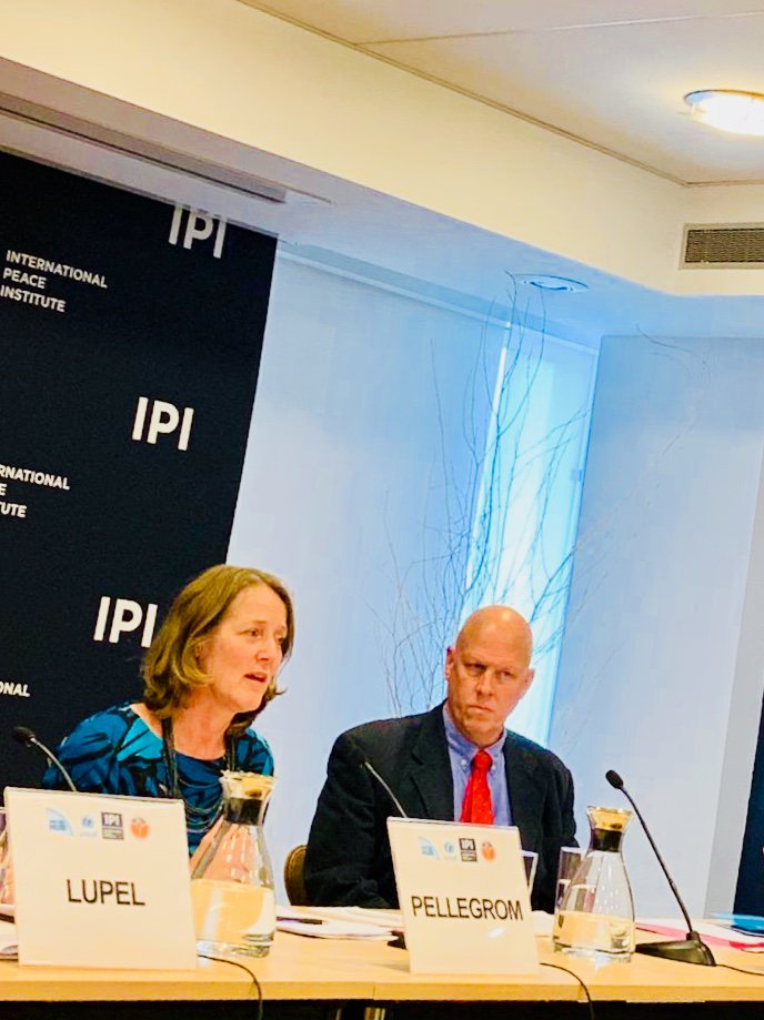 KingdomNL_UN's tweet photo. In the panel on Water&Conflict, #KingdomNL highlighted the link btw. #conflictandhunger & #water infrastructure & irrigation systems as an example of how #UNSC can take action. There is a need for #accountability, #earlywarning & building #resilience when considering #prevention. https://t.co/6pw8A8R5ZV