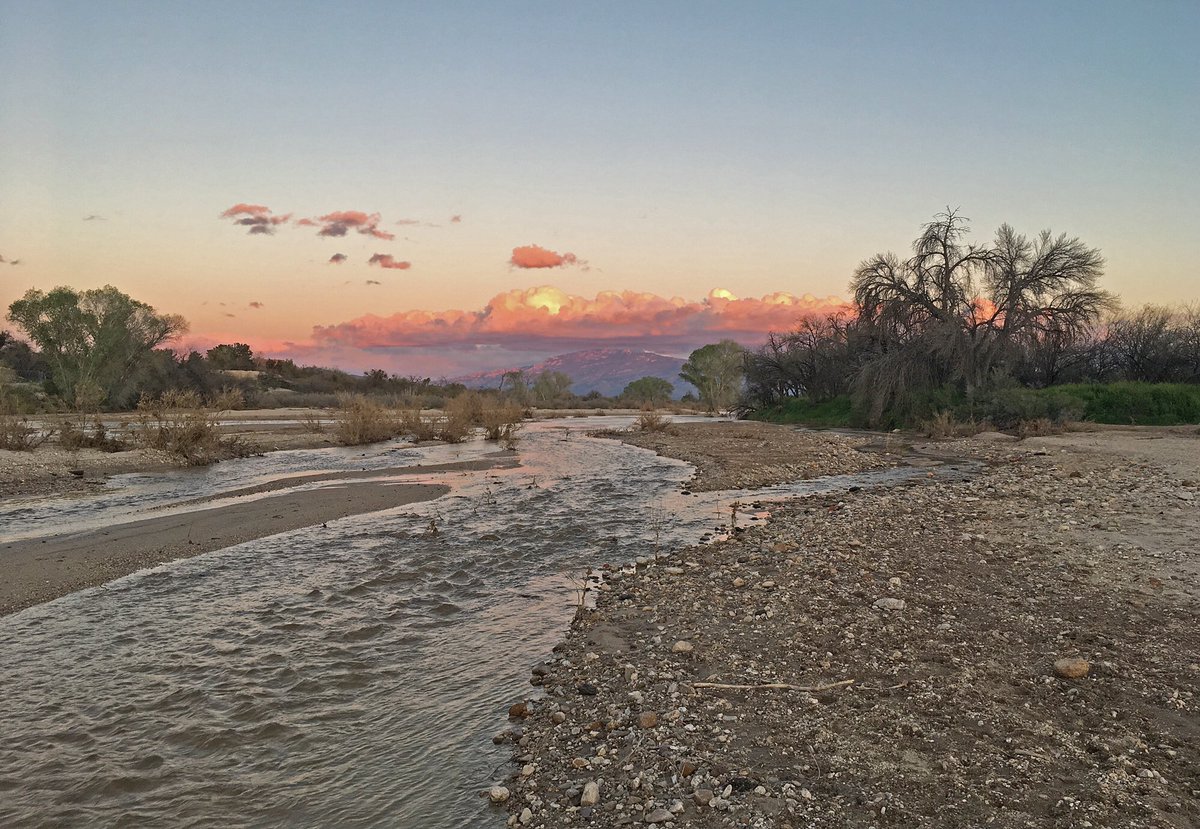 lisashipek's tweet photo. Since Feb 15th, the lower Tanque Verde and upper Rillito River have had 36 days of consecutive flow! Historic flows would have looked like this most of the year. Thanks to our Flow365 community scientists for monitoring flow to get us this exciting data. #RiverRunNetwork #Flow365 https://t.co/49T91k1oAP