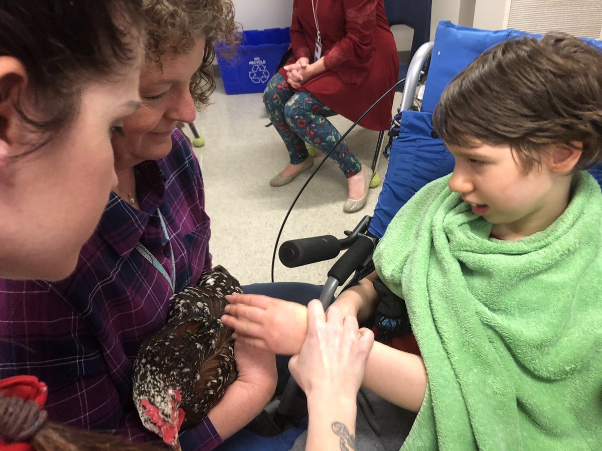 k9kayaks's tweet photo. Fun day in @nicoleleeadams1 @WOMS_warriors1 class talking about #chickens #funlearning #maxsmiles #Rm801 @OconeeSC_school https://t.co/uMr6geDHt1