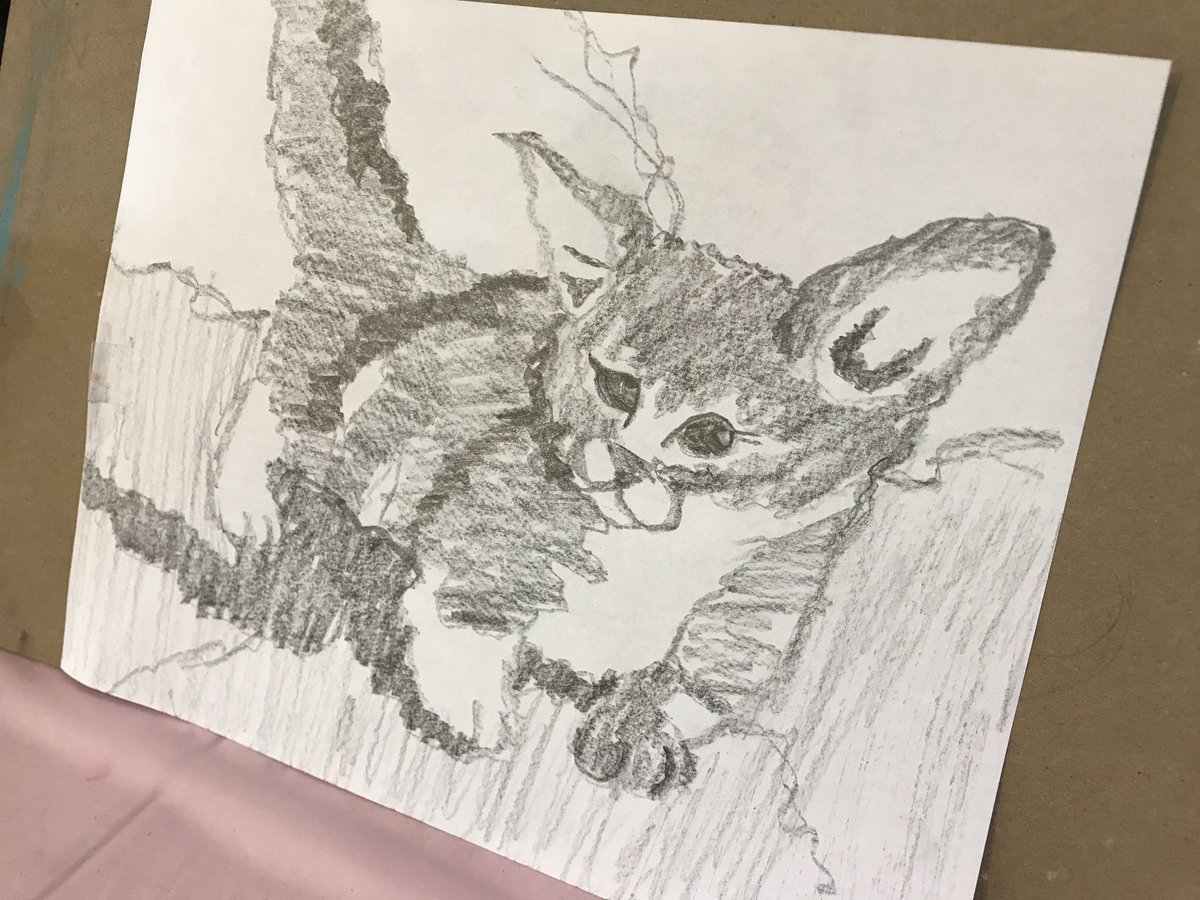 GrayWeis's tweet photo. Very quick cat sketch to test the hands today https://t.co/tBiTMx4OYp
