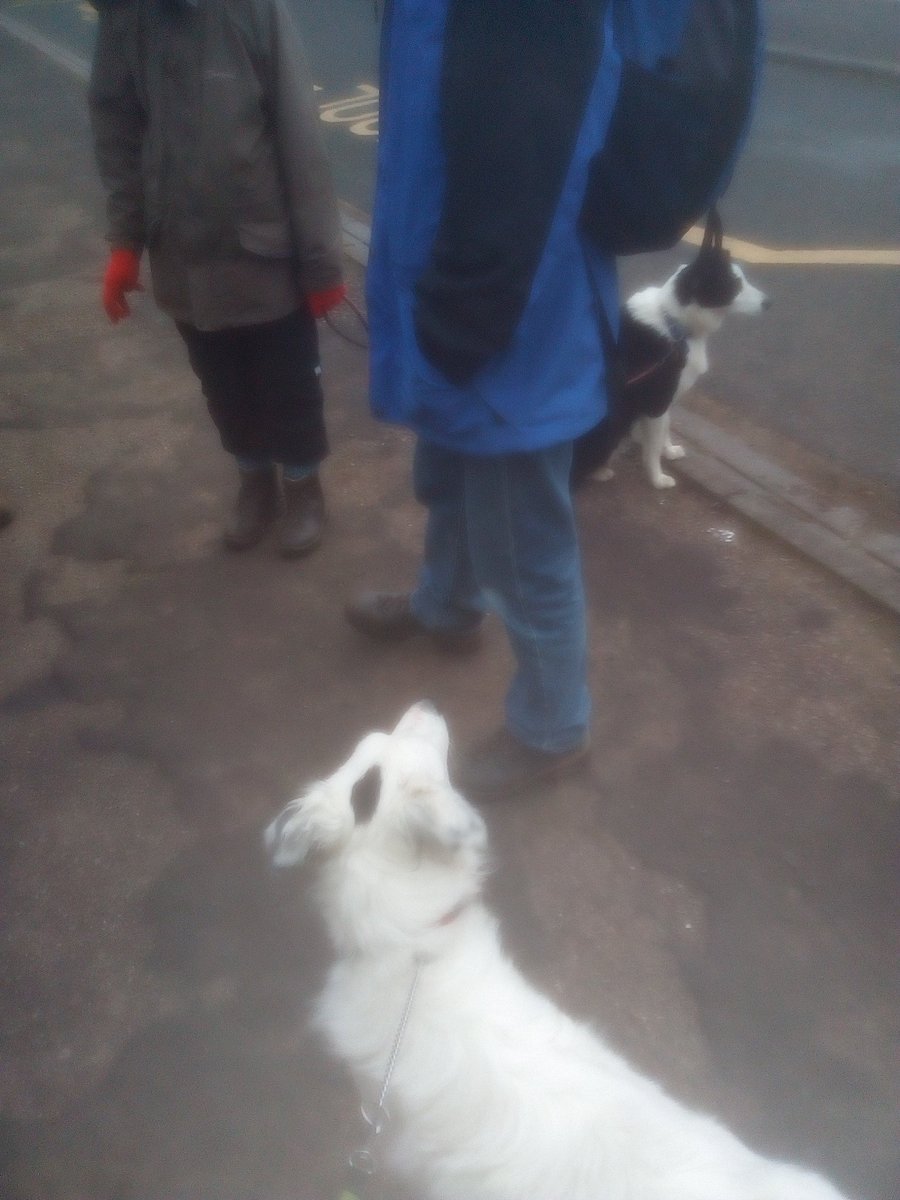 MrMRHouston's tweet photo. Kirkby joined in as the church leaders visited the mission community as part of their Lent walk. 4 churches, 8 miles traveled, cups of coffee, a school visit (@LangwathbyCe )and even a train ride home. Good day. #godforall @CarlisleDiocese #lentwalk https://t.co/awuKmuHYd7