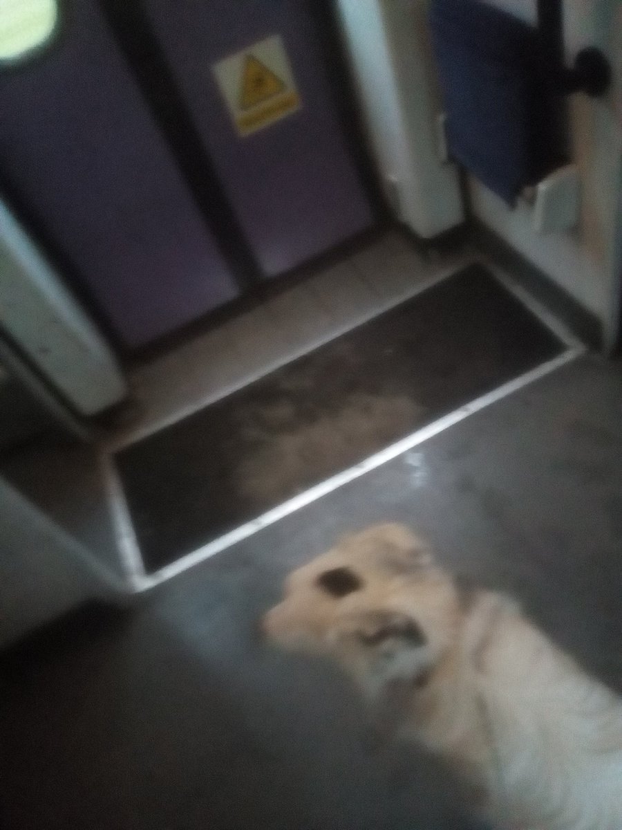 MrMRHouston's tweet photo. Kirkby joined in as the church leaders visited the mission community as part of their Lent walk. 4 churches, 8 miles traveled, cups of coffee, a school visit (@LangwathbyCe )and even a train ride home. Good day. #godforall @CarlisleDiocese #lentwalk https://t.co/awuKmuHYd7