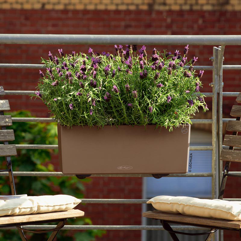 Dedi4me's tweet photo. E' arrivata la primavera.
Se ami le piante e hai cura del tuo balcone e terrazzo,
ecco la soluzione per Te.
Fioriere Lechuza Balconera Color e Balconera Cottage.
Design e qualità.
Fatti notare!

https://t.co/vDW99HFPC2

#fioriere #lechuza #balconera #design #arredo #piante https://t.co/92b0uAY97H