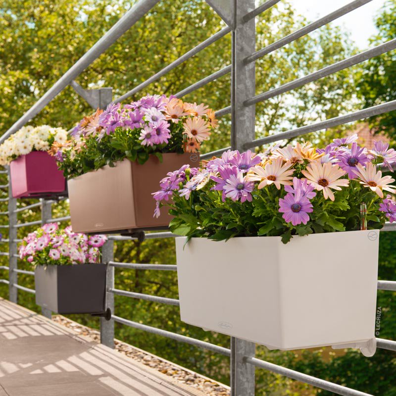 Dedi4me's tweet photo. E' arrivata la primavera.
Se ami le piante e hai cura del tuo balcone e terrazzo,
ecco la soluzione per Te.
Fioriere Lechuza Balconera Color e Balconera Cottage.
Design e qualità.
Fatti notare!

https://t.co/vDW99HFPC2

#fioriere #lechuza #balconera #design #arredo #piante https://t.co/92b0uAY97H