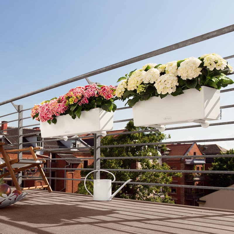 Dedi4me's tweet photo. E' arrivata la primavera.
Se ami le piante e hai cura del tuo balcone e terrazzo,
ecco la soluzione per Te.
Fioriere Lechuza Balconera Color e Balconera Cottage.
Design e qualità.
Fatti notare!

https://t.co/vDW99HFPC2

#fioriere #lechuza #balconera #design #arredo #piante https://t.co/92b0uAY97H