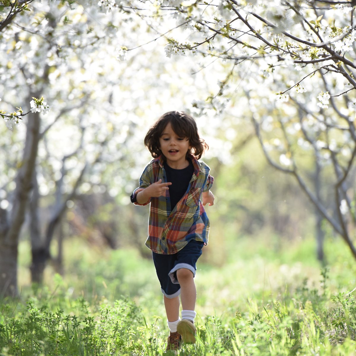 DistFam's tweet image. Spring means more time for kids to get out and enjoy the outdoors. Distant Family approves of kids being kids! #parenting #family #kids