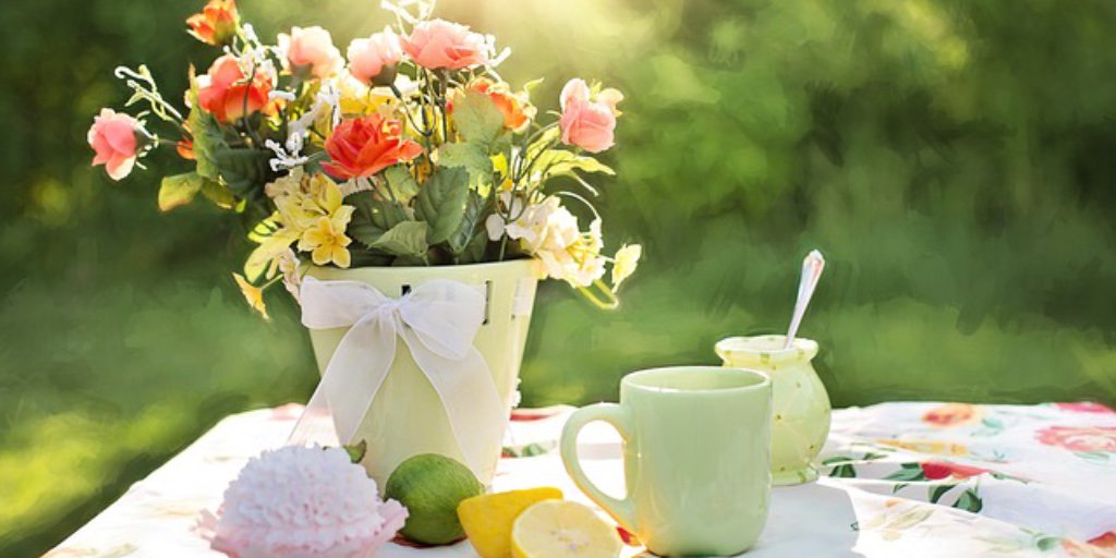 Suet To Go Wild Bird Food tweet media