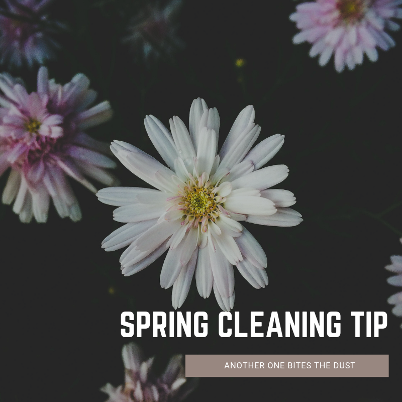 MeisnerService's tweet photo. Decluttering makes you more efficient and keeps you organized! So take some time to clean out your closet, dust your home, and look through that junk drawer! (You know which one we're talking about!)
#SpringCleaning #AnotherOneBitesTheDust https://t.co/DOBX8oB15K