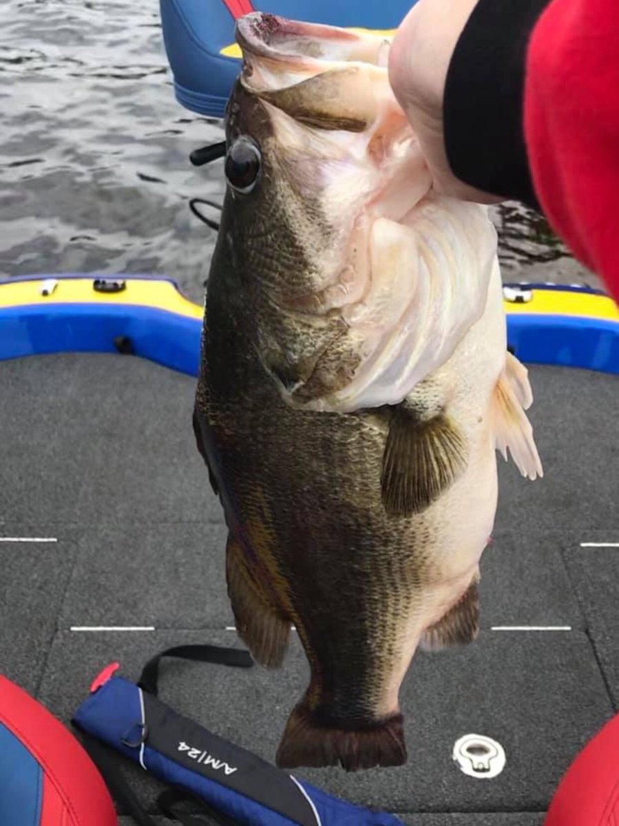 FishHeadSpin's tweet photo. Check out this Tank Fish Head Charlie Hinds caught on the Primal Vibe in Texas! 9.40 #fishheadspin #fishing #bassfishing #catchthebeast https://t.co/uH0ureCs9J