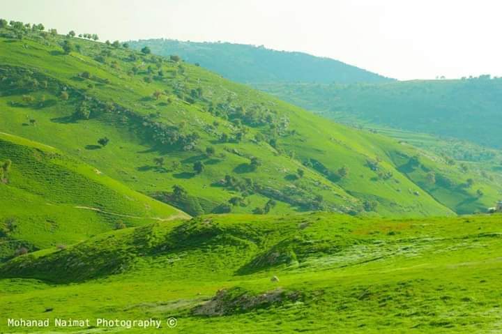 وادي النمل الاردن