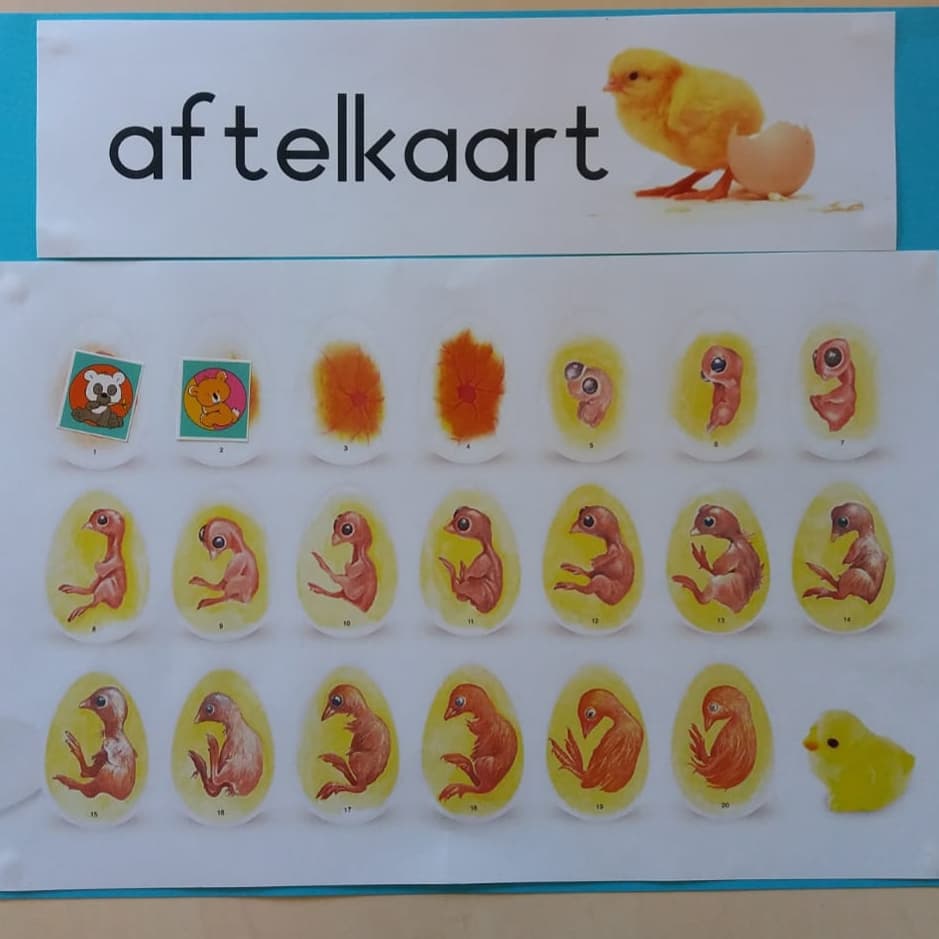 destarter's tweet photo. Het is voorjaar! Eieren in de onderbouw. En nu aftellen. #natuuronderwijs #dalton #verwonderen #nieuwsgierig #onderzoeken https://t.co/O6AmP0ecQa